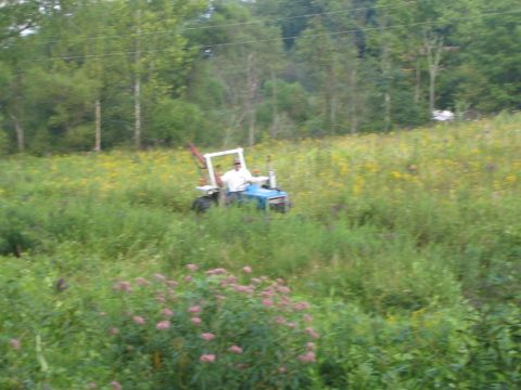 1995 Ford Bronco - Go Tom GO!