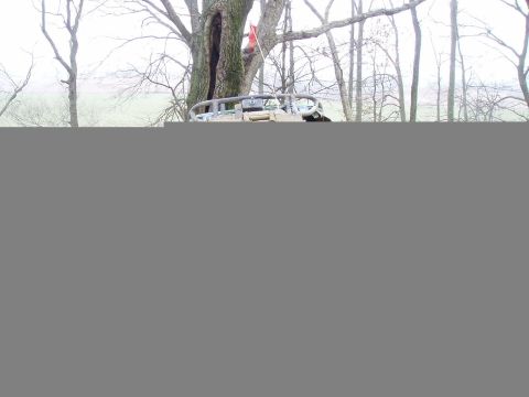 1992 Ford Bronco - A 1992 Ford Bronco is seen from a 3/4 front angle, partially obscured by trees and a large trunk.