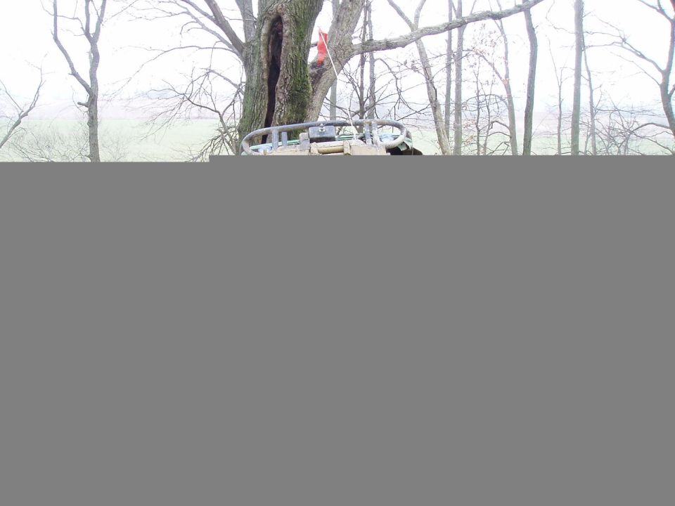 Tan 1992 Ford Bronco with a roll cage, parked outdoors near trees
