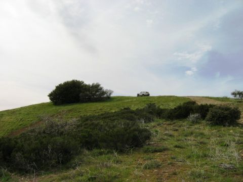 1985 Ford Bronco - A lone white SUV is visible on the crest of a rolling, grassy hill, with scattered bushes and trees dotting the landscape.