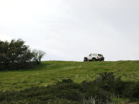 1985 Ford Bronco - A 1985 Ford Bronco is parked on a grassy hill with trees in the background.
