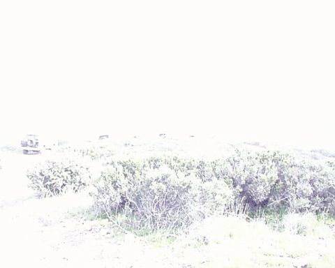 1993 Ford Bronco - Multiple vehicles are visible in a wide shot of a dry, brushy terrain.
