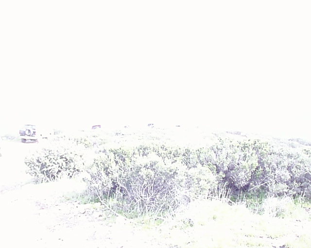 Several off-road vehicles parked in a dry, brushy landscape under a bright sky