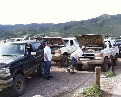 1993 Ford Bronco - Several Ford Broncos are parked outdoors with their hoods open, suggesting mechanical attention.