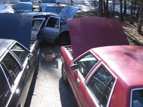 1991 Ford LTD Crown Victoria - Multiple vehicles, including a red 1991 Ford Crown Victoria LTD, are parked with their hoods open in a driveway.