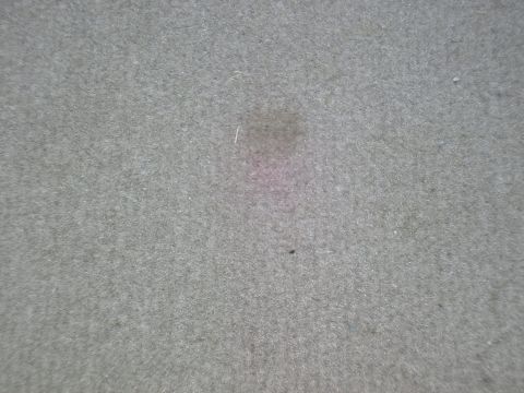 1998 Ford Taurus - Close-up of a carpet showing a faint pink stain and some debris.