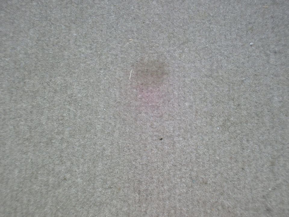 Gray carpet with a pinkish stain and a small black speck