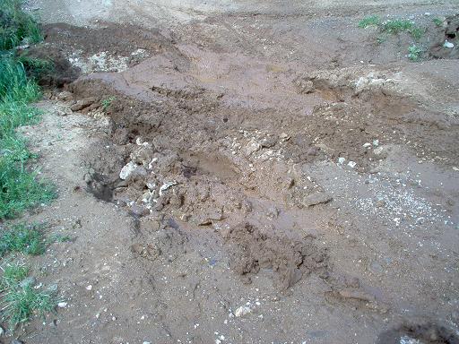 Muddy road with ruts and some grass on the side