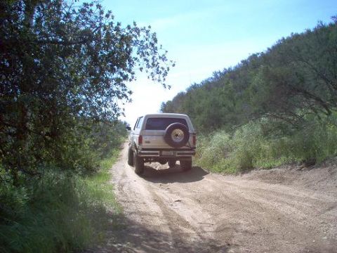 1988 Ford Bronco - 1988 Ford Bronco on a dusty trail, surrounded by vegetation under a clear blue sky.