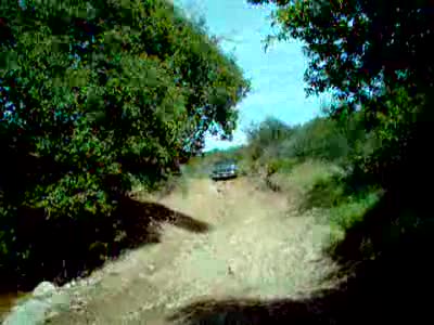 1988 Ford Bronco