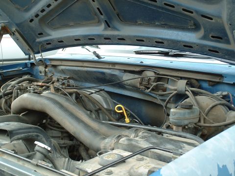 1990 Ford Bronco - The engine bay of a blue Ford truck is visible with the hood open, revealing various engine parts and hoses.