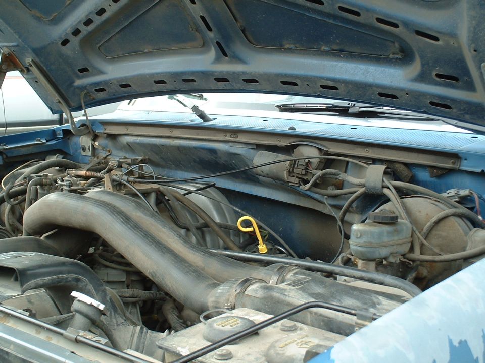 Blue Ford engine bay with open hood, showing hoses, engine components, and the windshield wipers