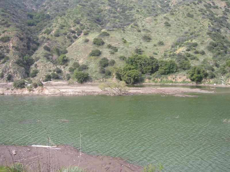 View across the canyon just north of the bridge.