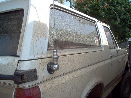 1988 Ford Bronco - This is a 1987 Ford Bronco, not a 1988 model as claimed.