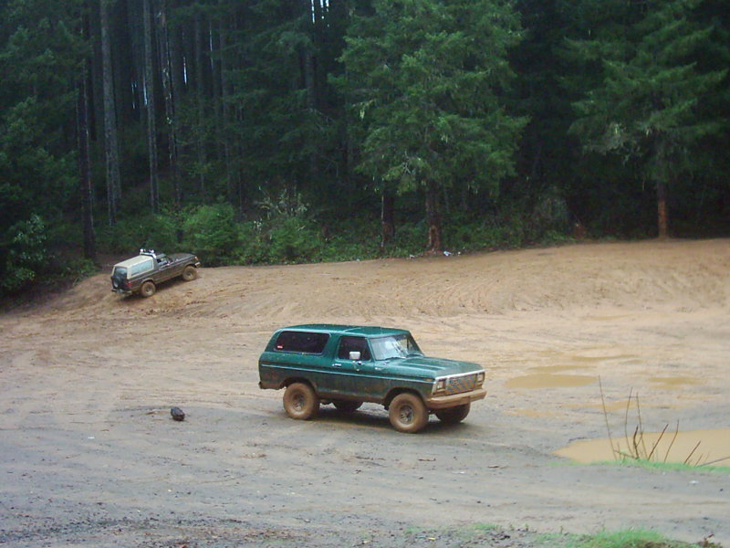 Bronco approaching the watering hole.