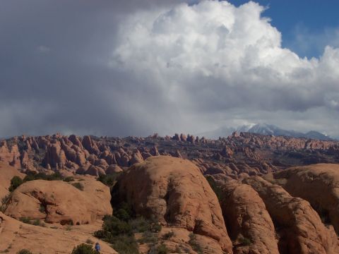1991 Ford Bronco - A vast desert landscape under a dramatic sky, with towering rock formations and a distant snow-capped mountain range.