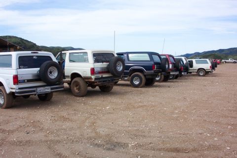 1996 Ford Bronco - Horse's Asses