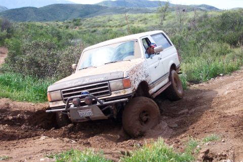 1996 Ford Bronco - "Doesn't look that bad from here!"