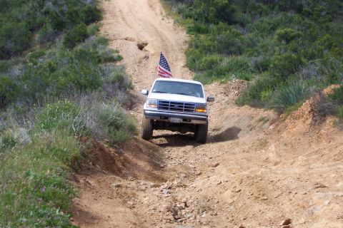 1996 Ford Bronco - Froggmann 1