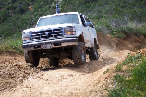 1996 Ford Bronco - Froggmann 3