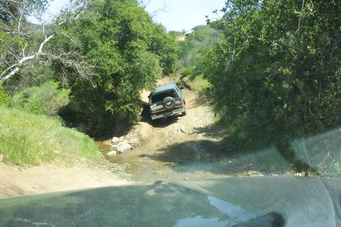 1996 Ford Bronco - Brad w/ B-Man in background