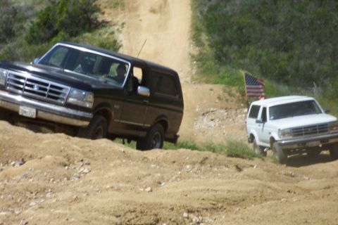 1996 Ford Bronco - Brad & Froggmann