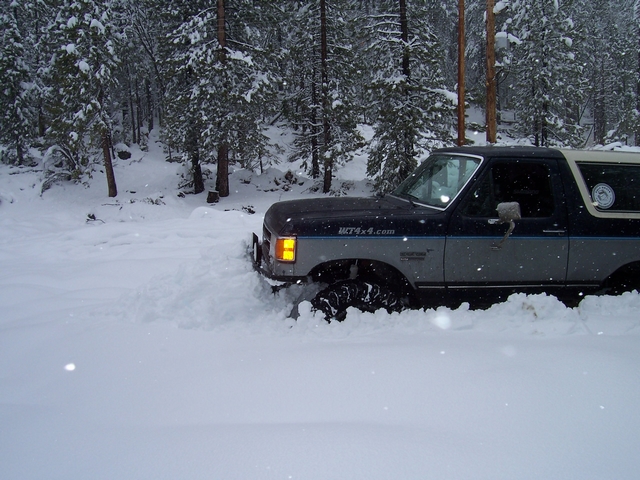 Dark Ford Bronco plowing through deep snow in a snowy pine forest