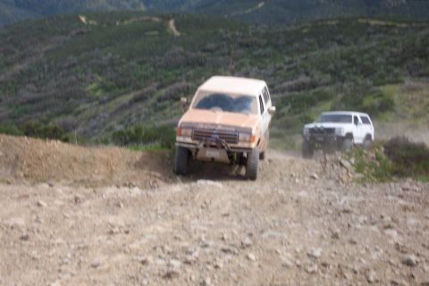 1996 Ford Bronco - Loco & 'Zilla