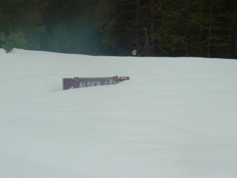 1986 Ford Bronco - alder creek road on Iron mountain... Deep