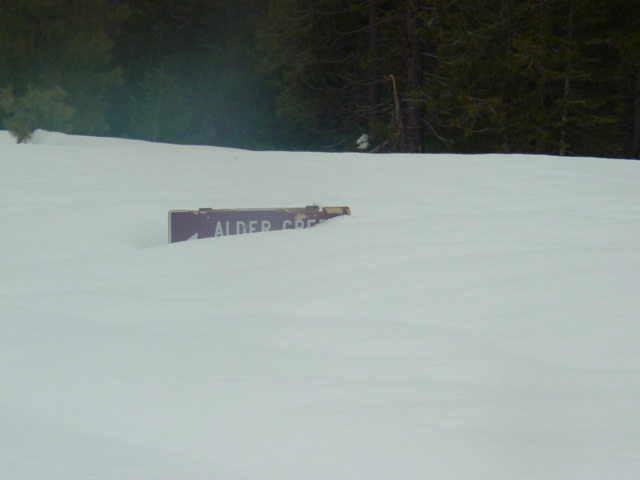 alder creek road on Iron mountain... Deep