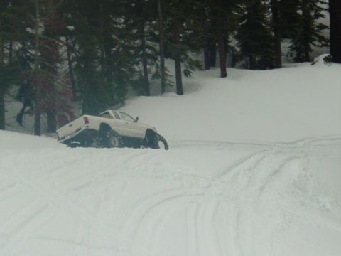 1986 Ford Bronco - think he's stuck?
