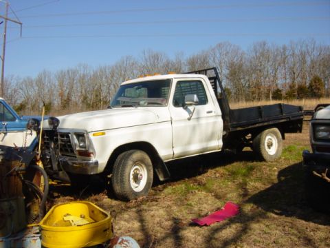 1983 Ford Bronco photo