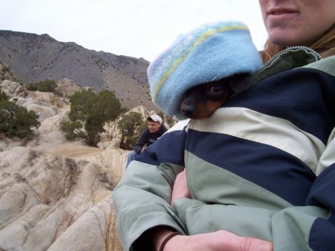 1989 Ford Bronco - A person holds a dachshund puppy in a beanie while a man sits in the background of a rocky desert landscape.