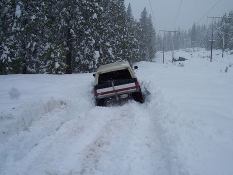1989 Ford Bronco - This 1989 Ford Bronco is stuck in a snow-covered road surrounded by pine trees.