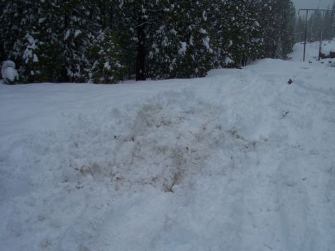 1989 Ford Bronco - Tire tracks are visible in the snow, leading through a wooded area.