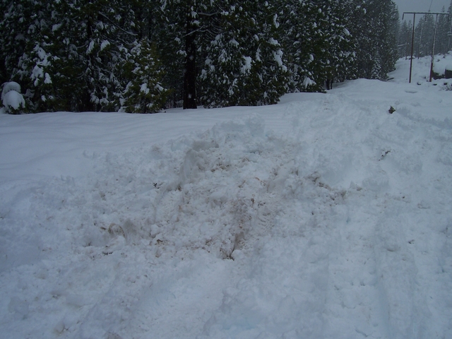 Tire tracks in snow with trees in background