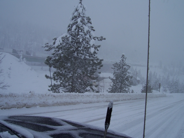 Snowy road with snow-covered pine trees and a faint highway overpass in the background