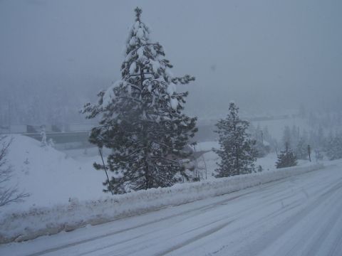 1989 Ford Bronco - A winter scene shows a snow-covered road with tire tracks winding through a landscape dotted with snow-laden pine trees.