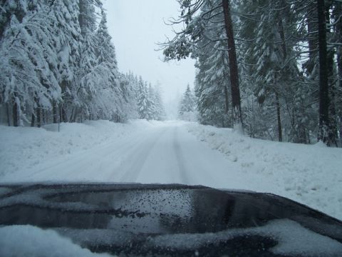 1989 Ford Bronco - Driving through a snow-covered forest road, the view is obscured by falling snow and the vehicle's hood.