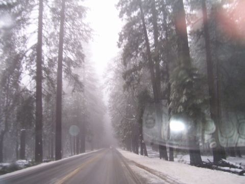 1989 Ford Bronco - Road trip through a snowy forest during winter.