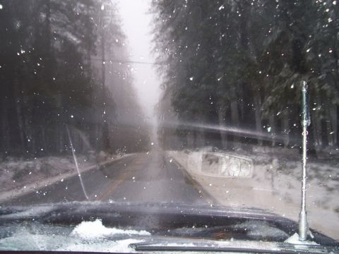 1989 Ford Bronco - Driving through a snowy landscape with trees lining the road.