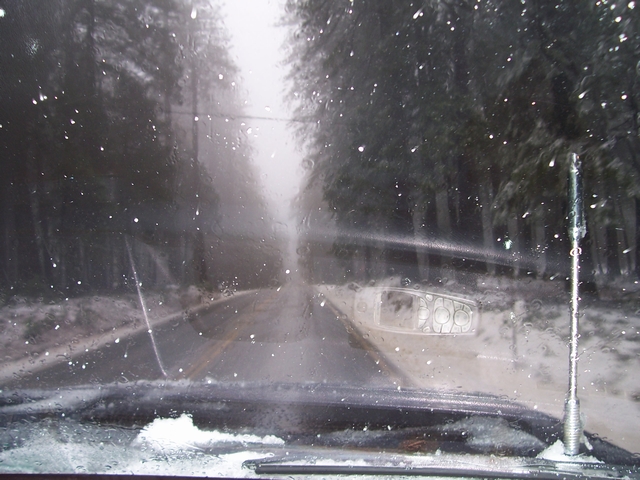 Windshield view of a snowy road with trees on either side. Snowflakes are visible on the glass