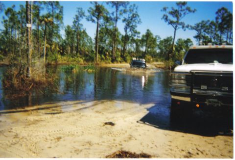 1992 Ford Bronco photo
