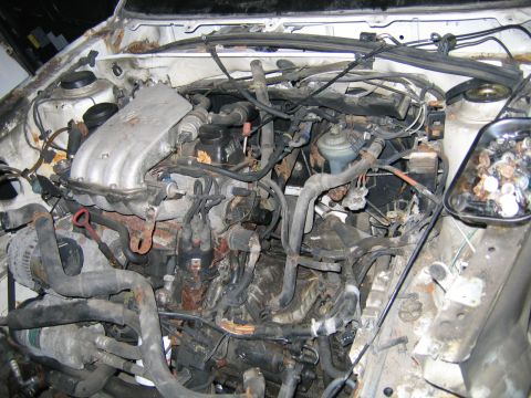 1989 Peugeot 405 “the pug”