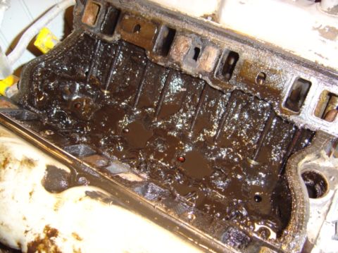 1986 Ford Bronco - This engine's intake manifold is caked with heavy oil sludge, indicating a serious lubrication issue.
