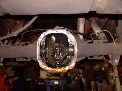 1986 Ford Bronco - Opened up my original axle and couldn't really see anything visually wrong. Yes there was a lot of play, but nothing specifically wrong.
