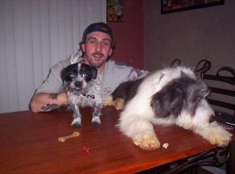 1986 Ford Bronco - A man poses with his two dogs on a table, with a toy bone and a red object nearby.