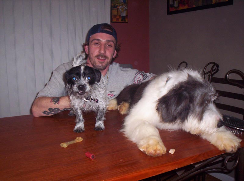 Man with a small black and white dog and a large fluffy dog on a wooden table