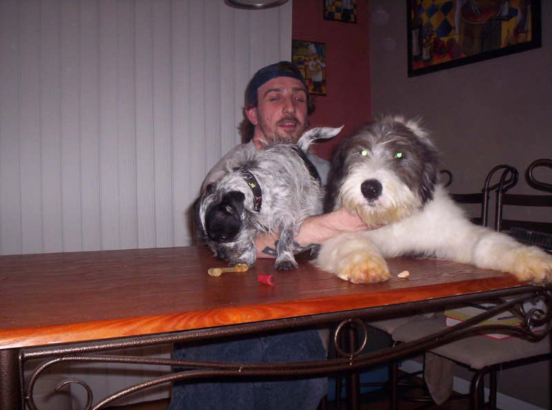 Man holding a small speckled dog and a larger shaggy dog on a wooden table