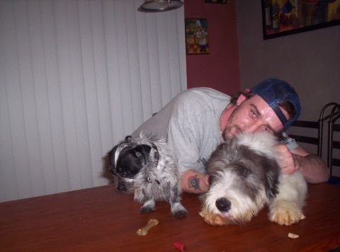 1986 Ford Bronco - A man poses with his two dogs on a wooden table, with a bone nearby.